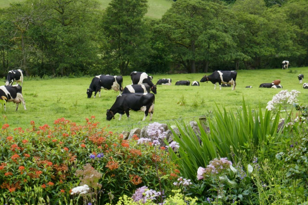 River View Knockraich Farm Fintry 외부 사진